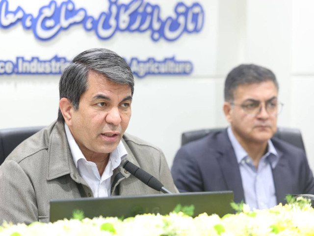  احیاء باغ‌موزه فرش کرمان در مرحله نهایی است