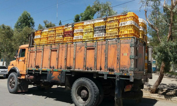 کامیون حامل مرغ زنده قاچاق در کرمان متوقف شد