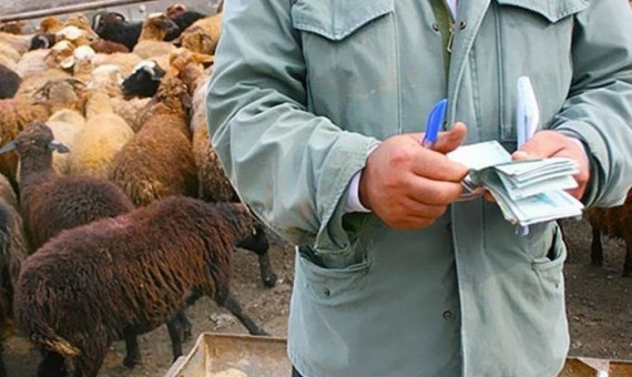 بازداشت 4 قاچاقچی گوسفند به کشورهای حاشیۀ خلیج‌فارس