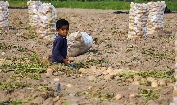 توجه به معیشت کشاورزان در طرح انسداد چاه‌های غیرمجاز 