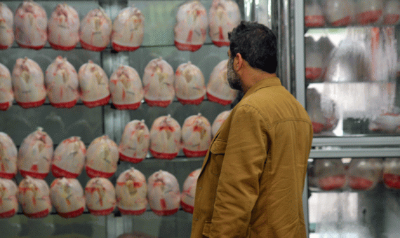 تولید مرغ در کرمان مازاد بر نیاز استان است