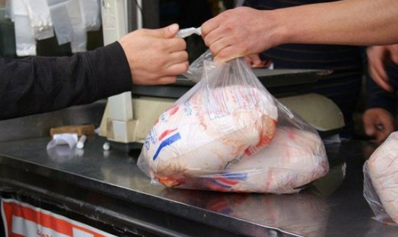بحران کمبود مرغ در کرمان