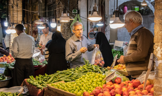 سرمازدگی علت گرانی خیار است