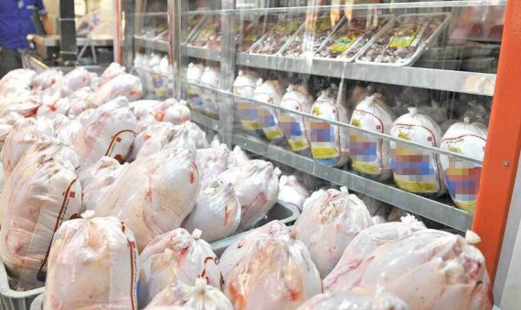   مجوز تولید  ۲۰۰ هزار قطعه مرغ گوشتی در جنوب استان صادر شد