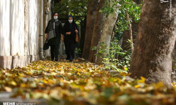 دمای هوای عنبرآباد در سومین روز پاییز به ۴۳ درجه رسید