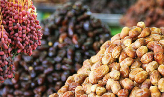 صادرات ۴۰۰ میلیون دلاری خرما شدنی است