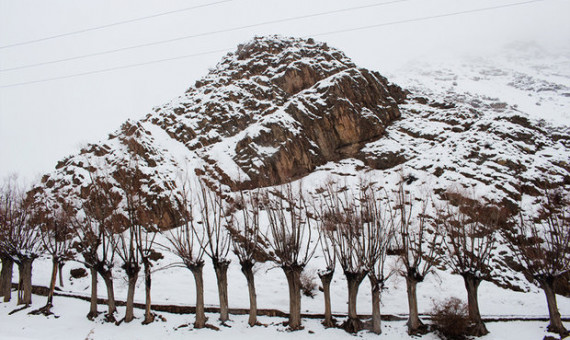 برف ۵ شهرستان کرمان را سفیدپوش کرد