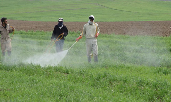  وضعیت آلودگی محصولات کشاورزی ایران نگران‌کننده است