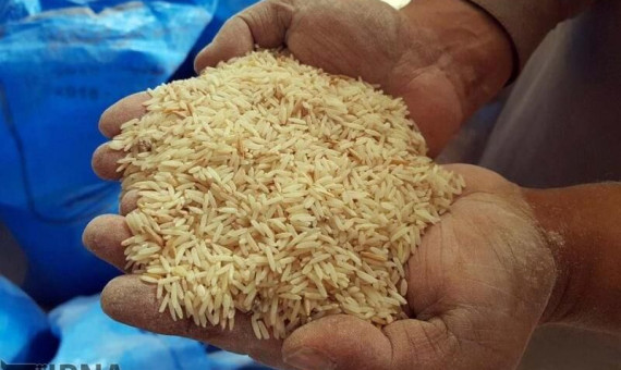  توزیع برنج‌ تایلندی کهنه صحت ندارد  