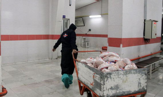 ذخیره‌سازی 150 تن گوشت قرمز در سردخانه‌های کرمان