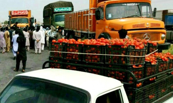  در دورۀ اوج حمل بار محصولات کشاورزی در جنوب استان هستیم  