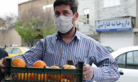باقیماندۀ میوه شب عید با قیمت تنظیم بازار در کرمان توزیع میشود