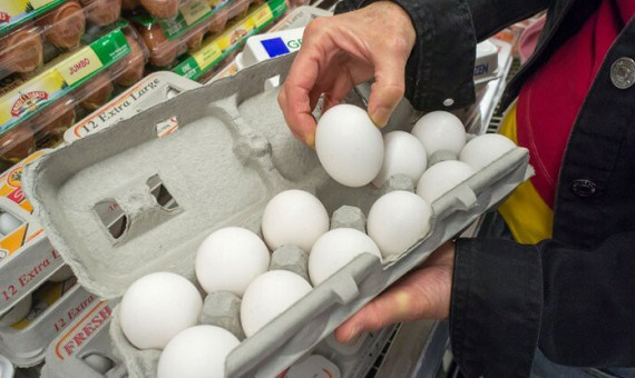 نرخ تخم‌مرغ در مرغداری‌ها افزایش نداشته است