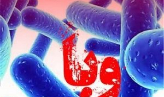 ۲۳ مورد ابتلای قطعی به وبا در کشور شناسایی شد