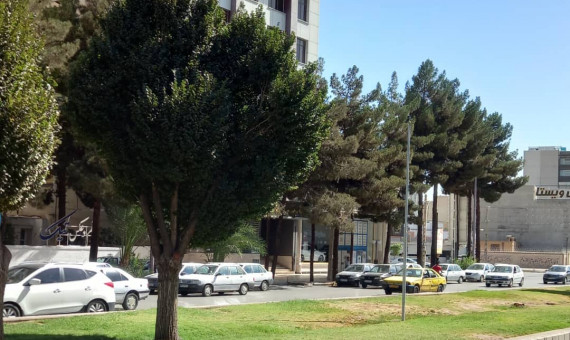 با کمبود جدی فضای سبز در شهر کرمان مواجهیم