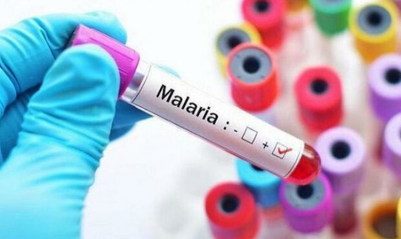 ابتلا به مالاریا در کشور افزایش یافته است