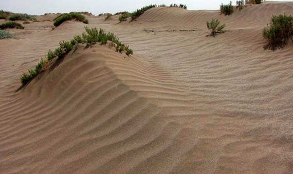 13 شهرستان شمال استان در معرض بیابانی شدن 