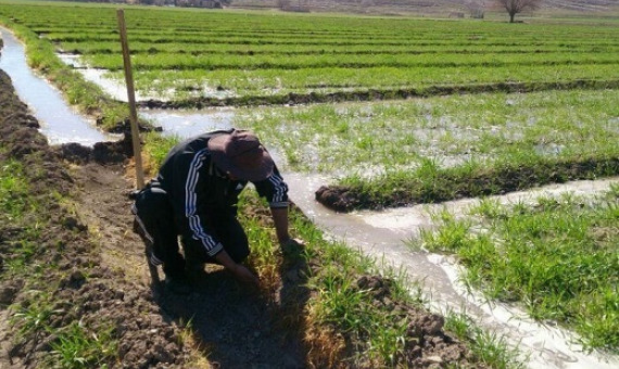 دریافت 300 تومان برای هر مترمکعب برداشت غیرمجاز آب