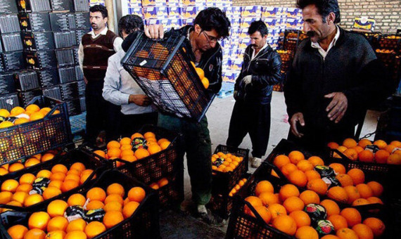 تنظیم بازار میوه شب عید به بخش خصوصی واگذار شد