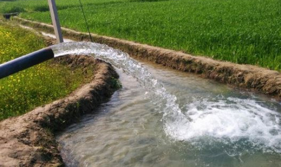 دشت‌های کرمان برای راه‌اندازی بازار آب امکان‌سنجی می‌شوند