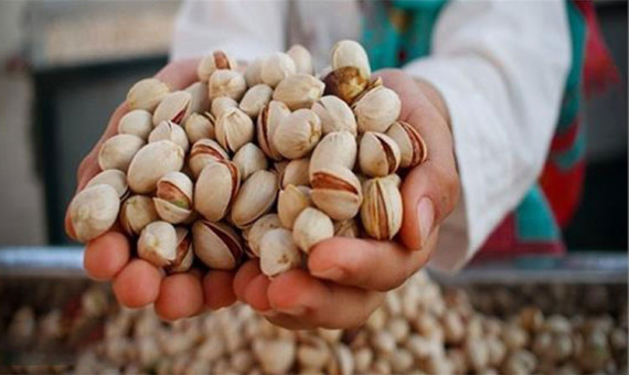 کاهش ۴۲ درصدی صادرات پسته ایران به اروپا