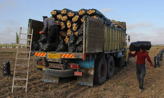 سهمیۀ جایگاههای سوخت در فصل برداشت محصولات کشاورزی افزایش یابد