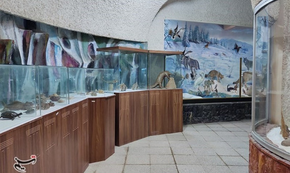 نخستین موزه دیرینه‌شناسی و حیات طبیعی کشور در کرمان افتتاح شد