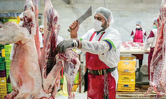 خطر بروز بیماری تب کریمه کنگو با شروع فصل گرما