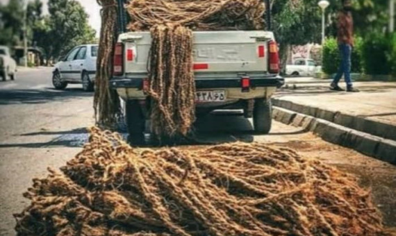 پرونده ثبت ملی چیلوکبافی پیگیری میشود