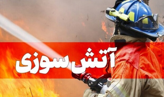 پیک‌نیک خانۀ مسکونی در کرمان را به آتش کشید