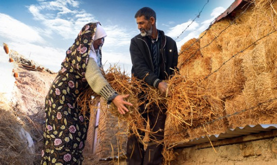 طرح توانمندسازی روستاهای کرمان اجرا می‌شود