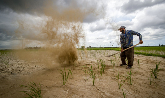 روند خشکسالی‌ها از ۳۰ سال قبل تشدید شده است