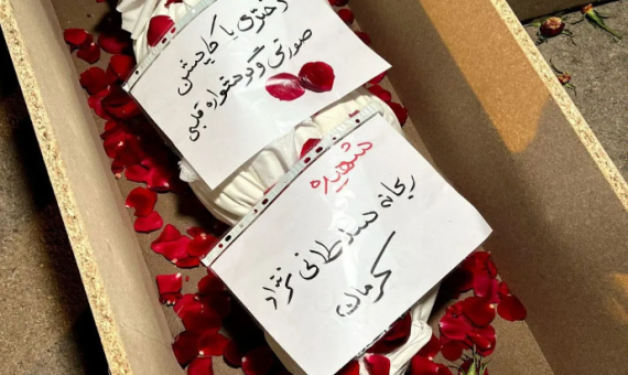 پیشنهاد نصب تندیس «دختر کاپشن صورتی با گوشواره قلبی» در تهران