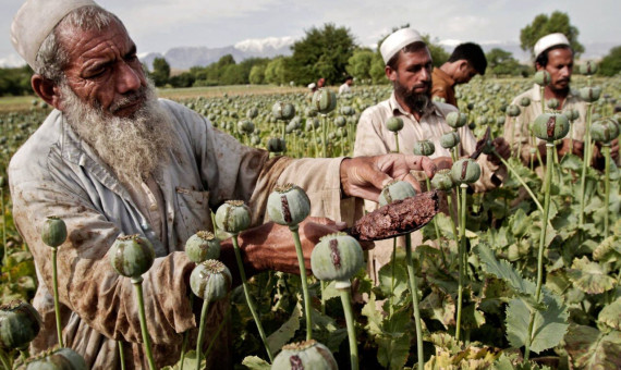 احتمال کاهش ورود مخدرهای سنتی به ایران