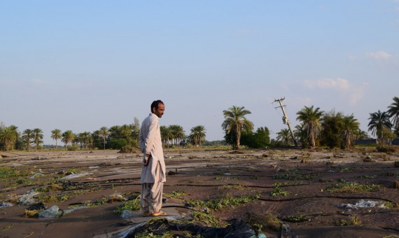 خسارت ۱۰۰۰ میلیارد تومانی باران‌ به کشاورزی جنوب کرمان