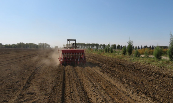 خدمات آب‌منطقه‌ای به کشاورزان کرمانی صرفا با سند تک‌برگ ارائه می‌شود