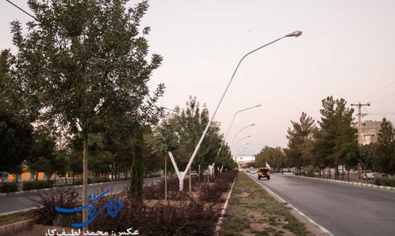 دفاع از تنوع درختکاری جدید در بلوار جمهوری!