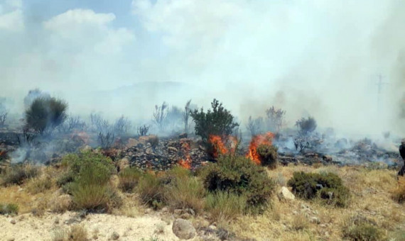 بیش‌ از سه هکتار از مراتع بافت در آتش سوخت