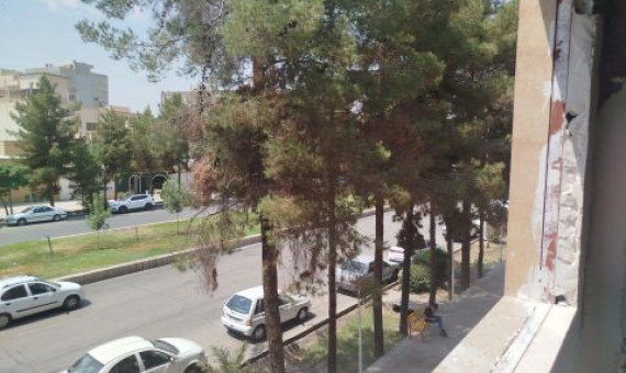 بر سر شاخه نشستن و بن بریدن!