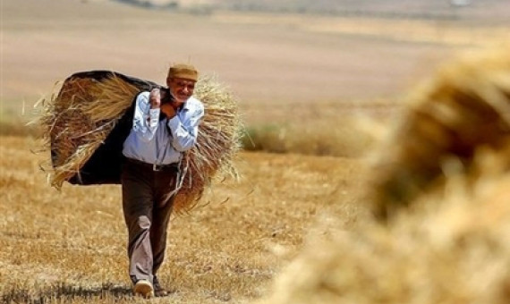 سرشماری عمومی کشاورزی در کرمان از ۱۲ آبان‌ماه‌ آغاز می‌شود