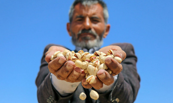 مشتریان خارجی قیمت صادرکنندگان پسته را نمی‌پذیرند