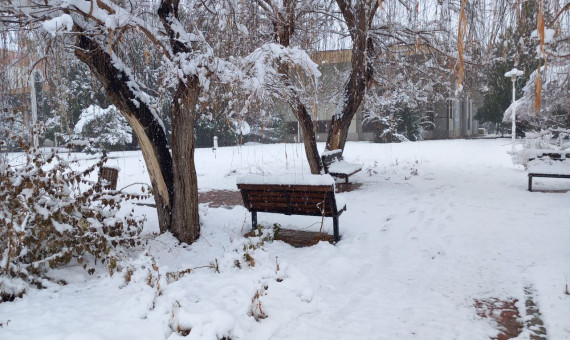 بارش باران و برف در برخی مناطق کرمان ادامه دارد
