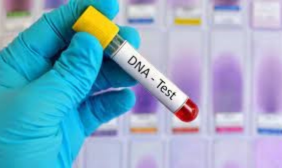 امکان انجام آزمایش DNA در جنوب استان کرمان فراهم شود