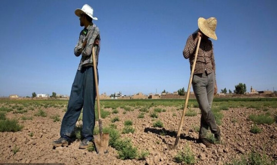 انتقاد از قطعی برق جنوب استان در گرمای ۵۰ درجه