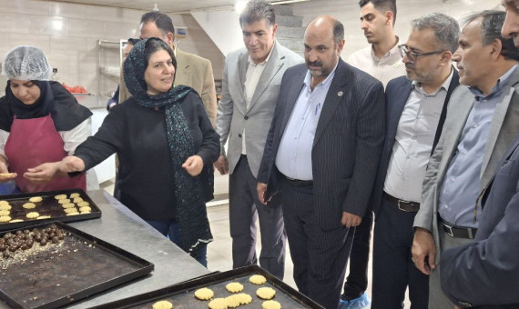 پیشنهاد راهاندازی انجمن تخصصی شیرینی خانگی در رفسنجان