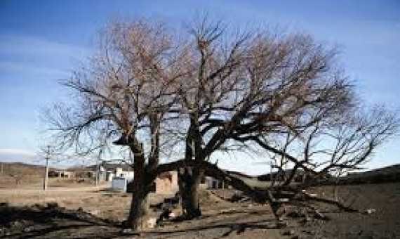 بحران کم‌آبی در شهرستان بم  
