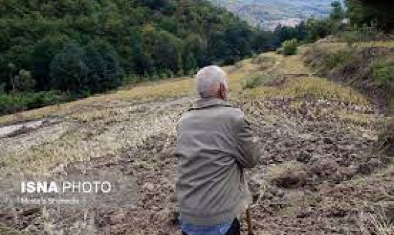 خسارت بیسابقۀ تغییر اقلیم به کشاورزی جنوب کرمان
