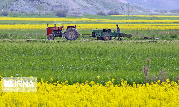 تدوین بسته‌های تشویقی برای کشاورزانی که الگوی کشت را رعایت می‌کنند