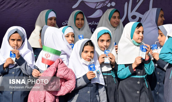 شیر تنها در مدارس 4 استان توزیع شده است  