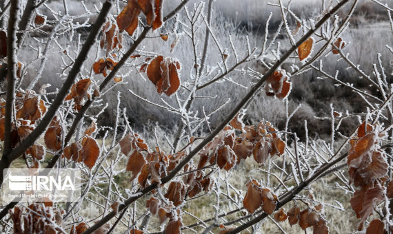  کاهش محسوس دما، یخ‌بندان‌ و طوفان شن 